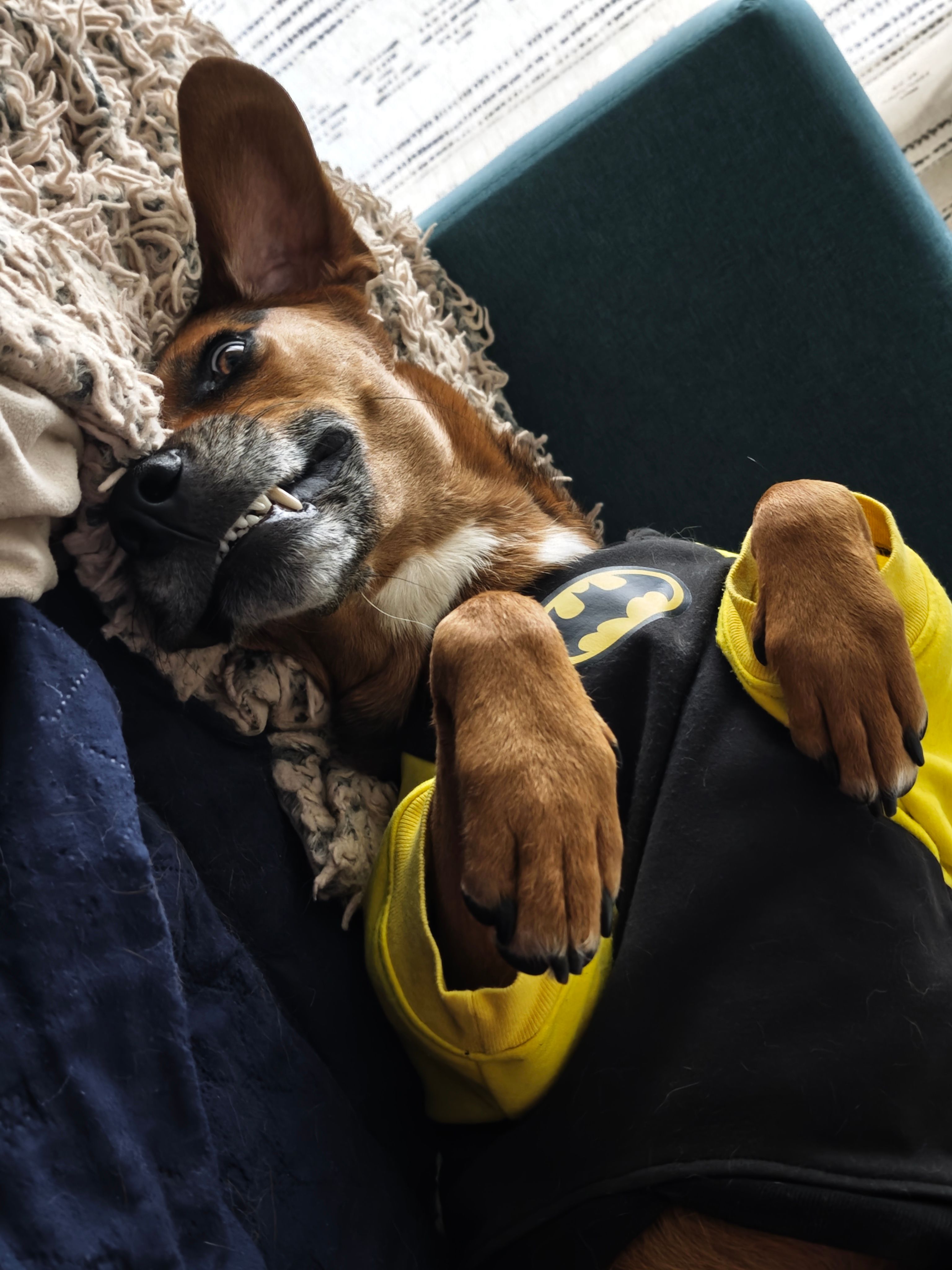 Max lying on his back in a Batman costume, mouth open in a goofy grin