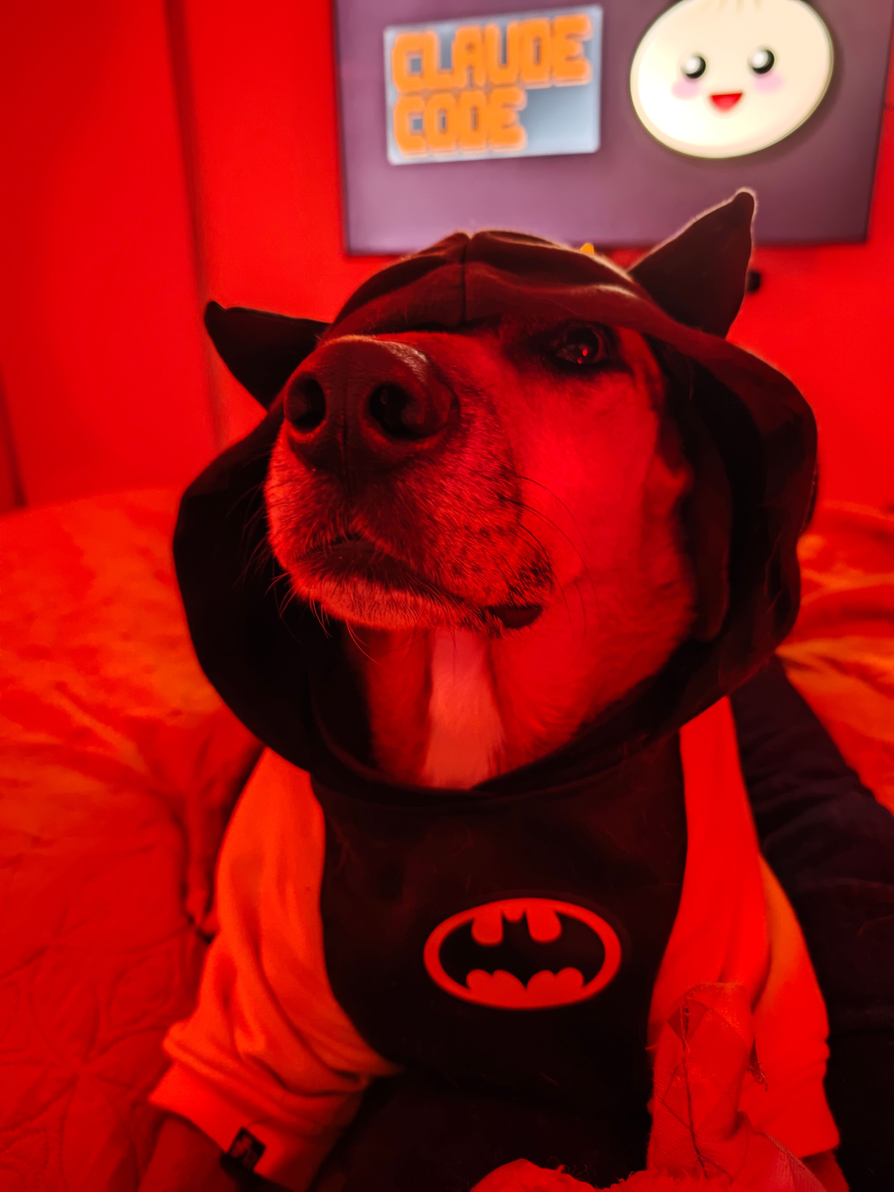Max sitting up in a Batman hoodie on a bed, lit in warm red light