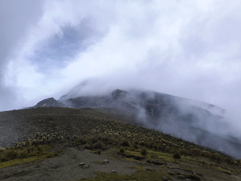 The páramo that lay between Valle de Cocora and the summit.